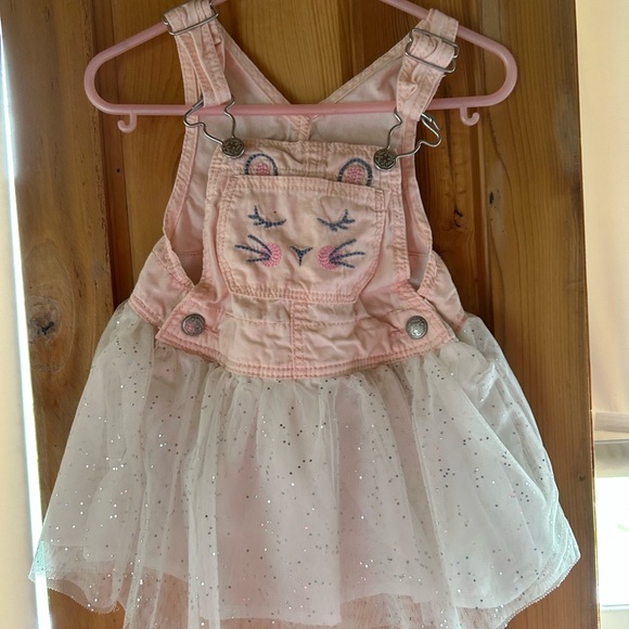 OshKosh B'gosh Pink and White Overalls with Tulle Skirt - Picture 1 of 3